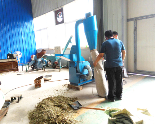 �ӱ������͑����B�H�ն��w����ϙC���Ǻ���